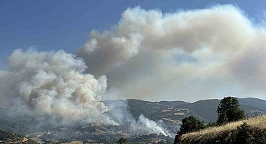 Uşak'ta otluk alanda çıkıp ormanlık alana sıçrayan yangına müdahale devam ediyor
