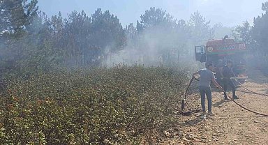 Valilikten Kırka yangını ile ilgili açıklama