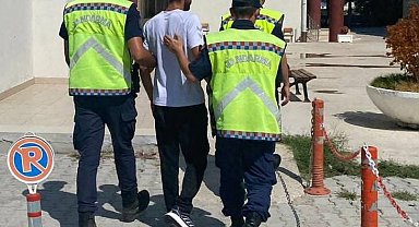 Yalova'da 181 kök Hint keneviri ele geçirildi: 1 gözaltı
