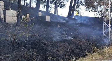 Yalova'da mezarlık yangını