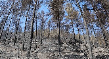Yangın sonrası acı tablo fotoğraf karelerine yansıdı
