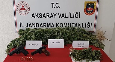 Yasa dışı kenevir üretimine jandarma darbesi