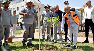 Yenilenen parka ilk ağaç fidanı Kocagöz'den