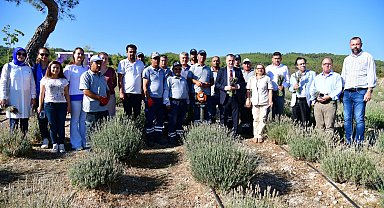 Yunusemre'de lavanta hasadı heyecanı