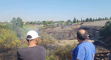 Zeytinlikte çıkan yangın evlere ulaşmadan söndürüldü