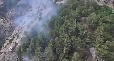 Zirvede başlayan yangın hava müdahalesiyle söndürüldü