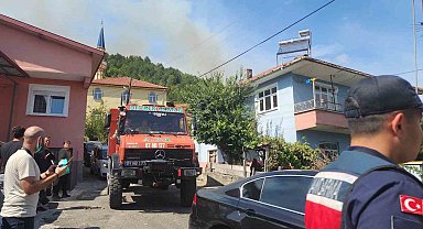 Zonguldak'ta orman yangını