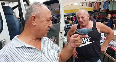 2 yıldır çarşı pazar omuzunda Sevda Papağanı ile geziyor