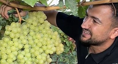 5 kiloluk üzüm salkımı görenleri hayretler içerisinde bıraktı