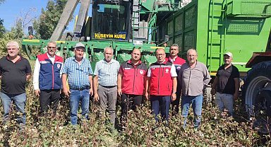 AB tescilli Söke Pamuğu hasadı sürüyor