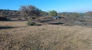 Abant Gölü Milli Parkı'nda yangın: Ormana sıçramadan söndürüldü