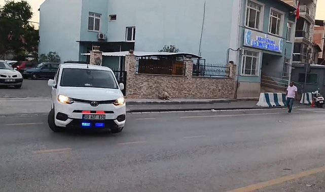 Acarlar Polisi, kaçakçılığa geçit vermedi