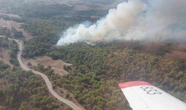 Adana'da çıkan orman yangını kontrol altına alındı