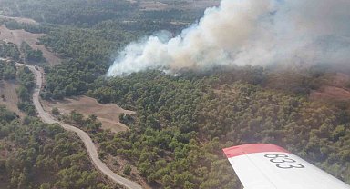 Adana'da çıkan orman yangını kontrol altına alındı