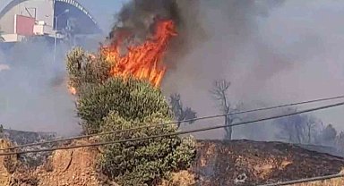 ADÜ'de yangın paniği