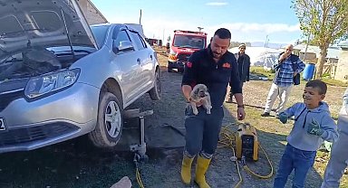 Ağrı'da araçta sıkışan yavru köpeği itfaiye ekibi kurtardı