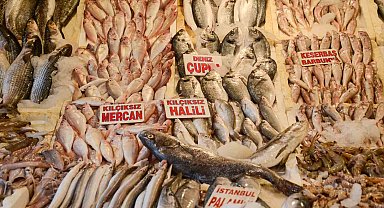 Akdeniz'de av yasağının 15 Eylül'de kalkmasıyla tezgahlarda balık bolluğu yaşanıyor