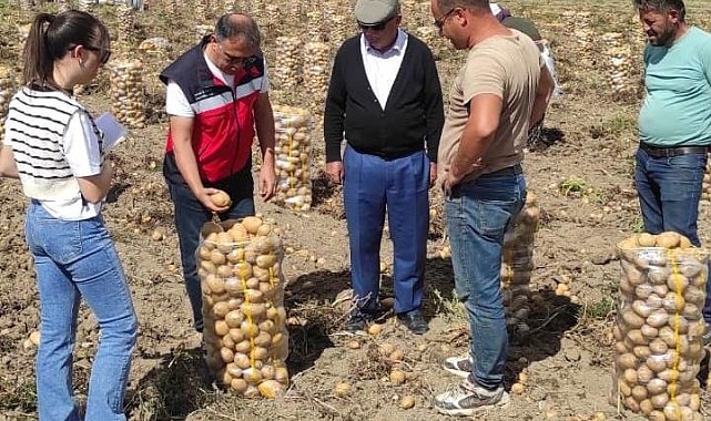 Altıntaş'ta patates ekiliş ve hasat kontrolleri