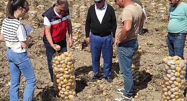 Altıntaş'ta patates ekiliş ve hasat kontrolleri
