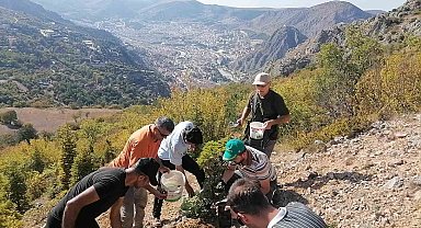 Amasyalı örnek aile 100 kilo meşe palamudu dikti