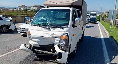 Ana yola çıkan büyükbaş hayvan kazaya neden oldu: 1 yaralı