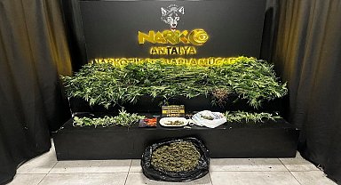 Antalya'da 42 adrese eş zamanlı uyuşturucu operasyonu