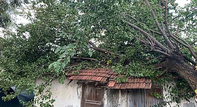 Antalya'da çıkan hortum ev ve seralara zarar verdi