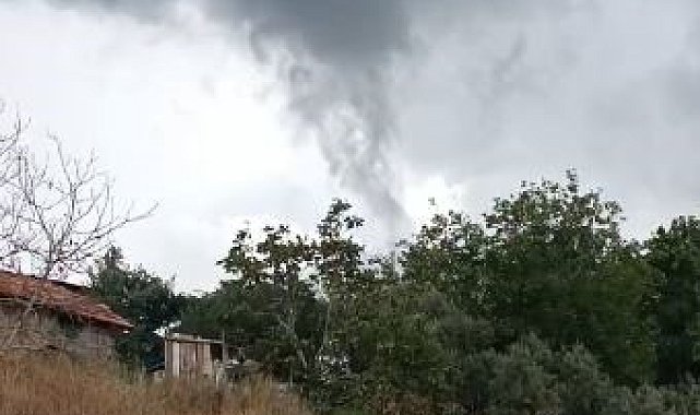 Antalya'da ormanlık alanda oluşan hortum kısa süreli paniğe yol açtı
