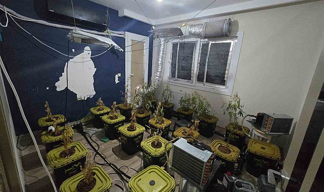 Apartmana uyuşturucu serası kurdular