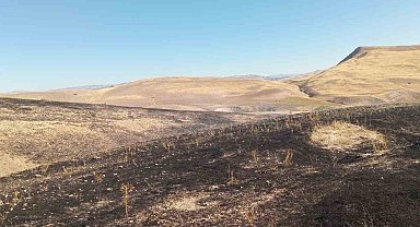 Arguvan'da anız yangını