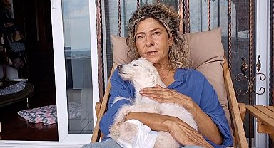 Arka ayakları kesilmiş halde bulunan köpek yeni yuvasına kavuştu