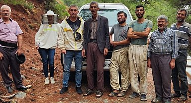 Atburgazı Mahallesi'nde arılı kovan tespiti yapıldı