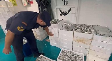 Avlanabilir boyuttan küçük kasalarca lüfer balığı yakalandı: 4 kişiye binlerce lira ceza kesildi