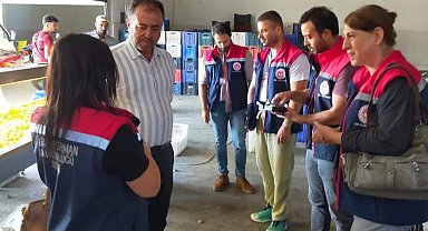 Aydın'da incir üreticilerine aflatoksin ve okratoksin uyarısı