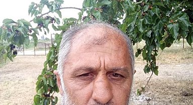 Aydın'da trafik kazası: 1 ölü