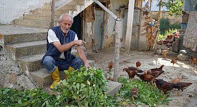 Ayılar köy merkezine indi: Yavru ayı kümesteki hayvanları, anne ayı ise fasulyeyi yedi