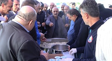 Bafra Ovası'nda Çeltik Hasat Şenliği: 165 bin ton rekolte beklentisi