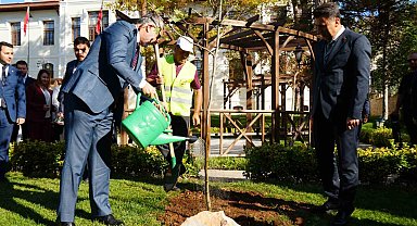 Bakan Işıkhan, Bilecik'te çınar fidanı dikti