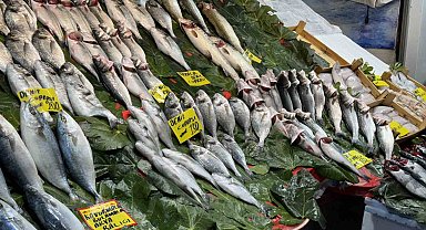Balık sezonu açıldı: İstanbul'da balıklar tezgahlardaki yerini aldı