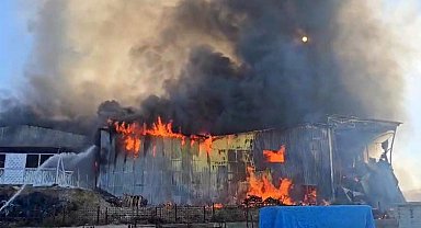Balık yemi paketleme fabrikası alevlere teslim oldu