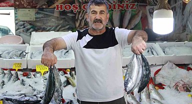 Balıkçı tezgahları renklendi