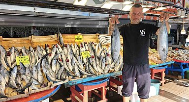 Bandırma Balık Hali'nde palamut bolluğu yaşanıyor