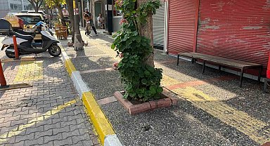 Bandırma'da şüpheli ölüm