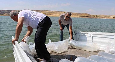 Baraj göletine 3 milyon 550 bin adet yavru balık bırakıldı