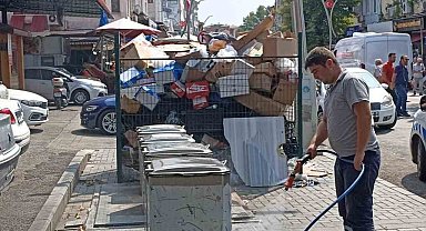 Bartın'da haşere ile mücadele sürüyor