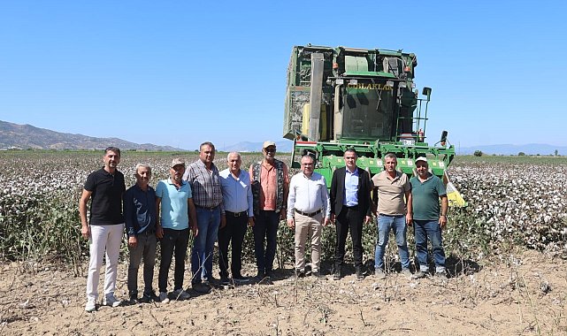 Başkan Arıcı pamuk hasadına katıldı
