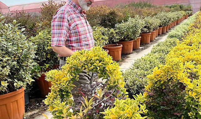 Başkan Çolakbayrakdar, "Şehrimizin yeşil dokusunu hem çeşitlendiriyor hem genişletiyoruz"