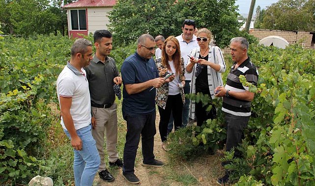 Başkan Süer: "Erciş üzümü kalitesini koruyor"