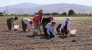 Başkan Yetişkin enginar fidelerini toprakla buluşturdu