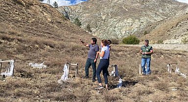 Başpınar köyüne 100 bin tuz çalısı dikilecek